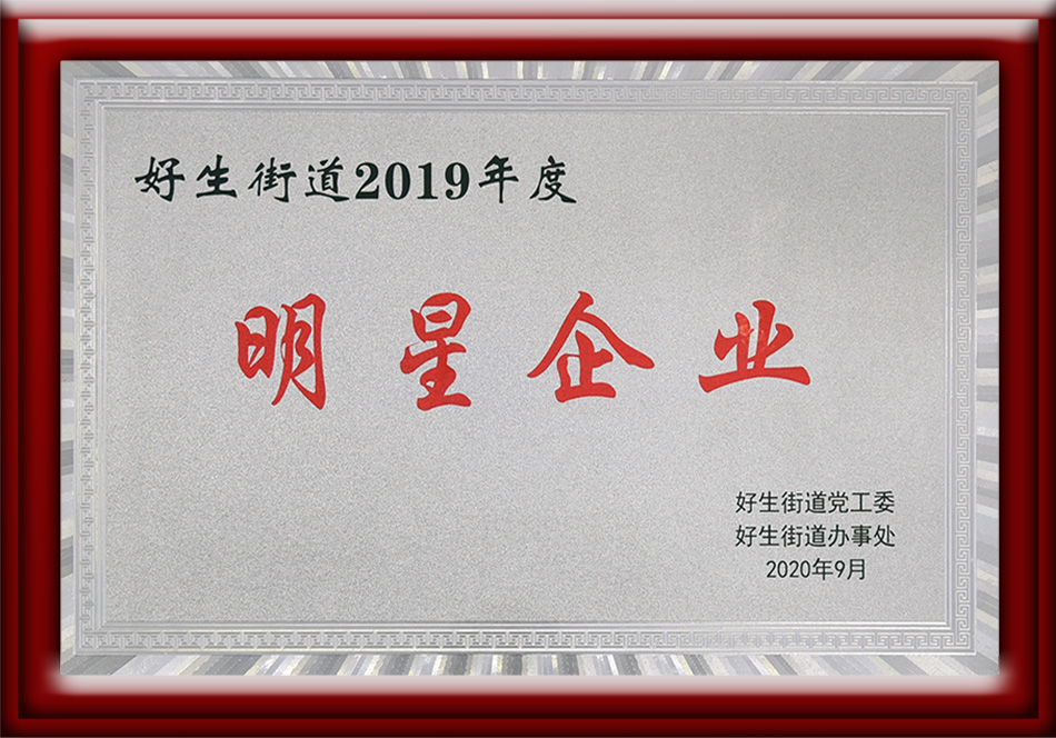 2019明星企業(yè)